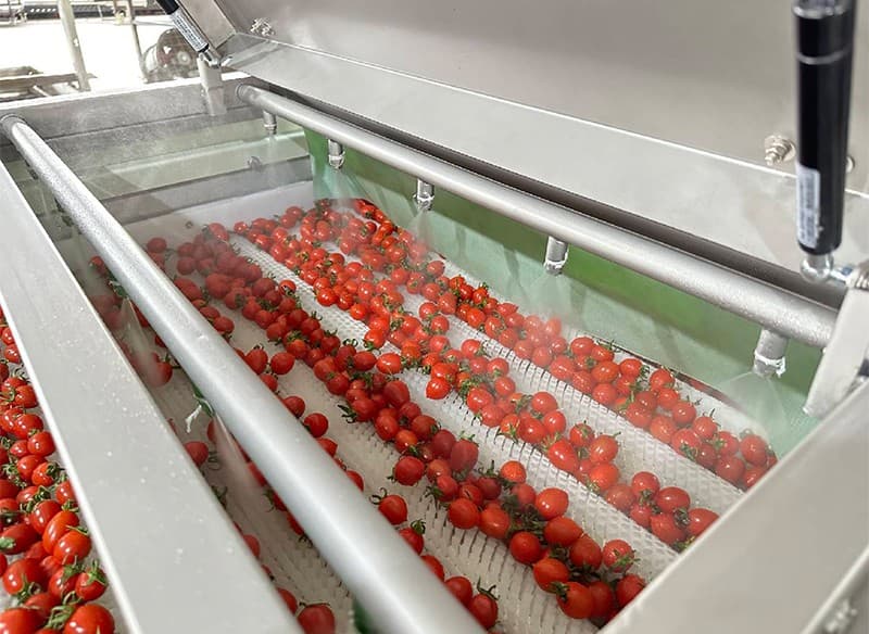images/1703491735147cherry tomato grading machine.jpg